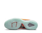 Nike Lebron IX