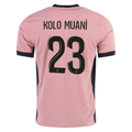Nike Paris Saint-Germain Authentic Randal Kolo Muani Third Jersey 24/25 (Rust Pink/Black)