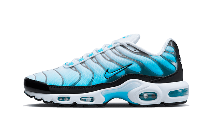 tous les sneakers