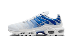 Nike Air Max Plus Blue Fade