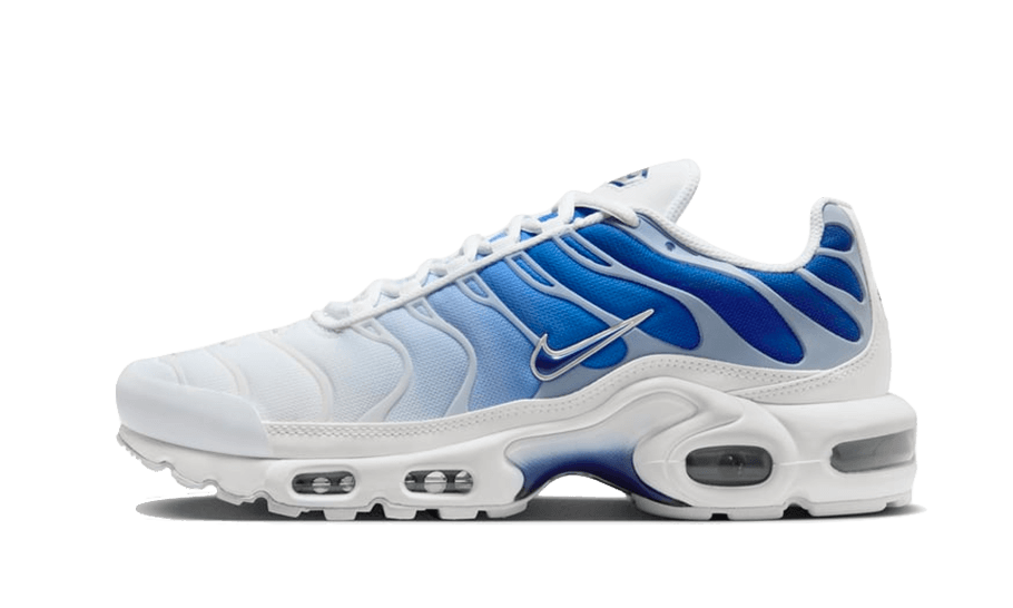 tous les sneakers