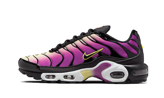 tous les sneakers